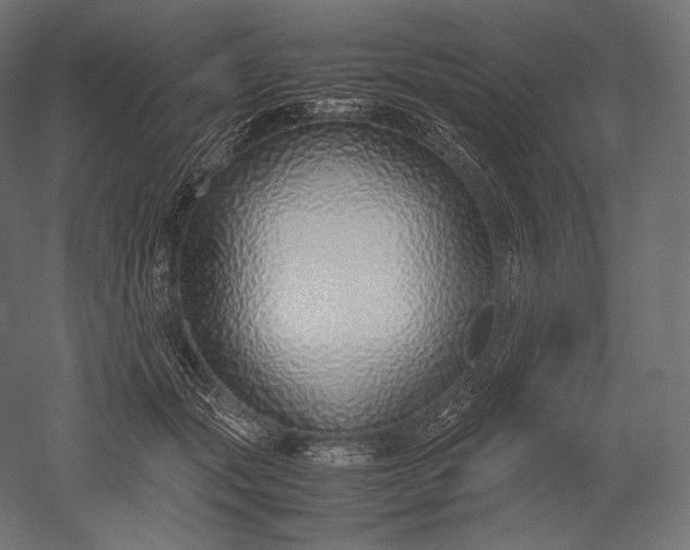 X0000051250557200507011655