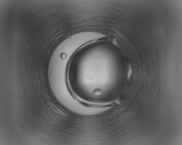 X0000051250558200507011655