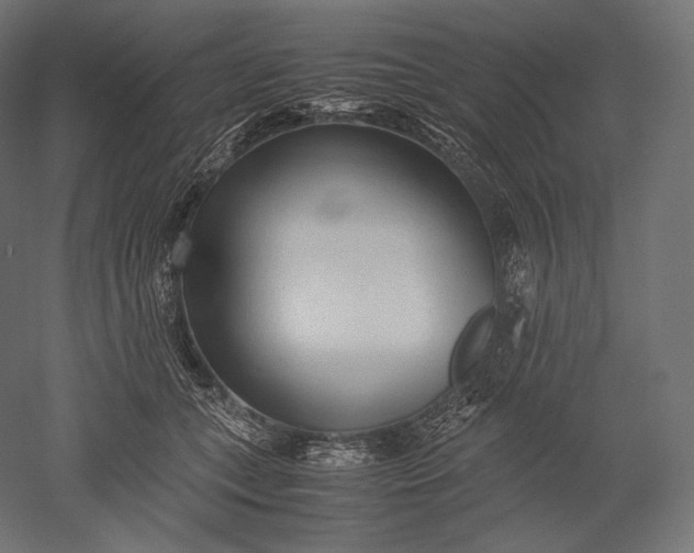 X0000051250559200507011655