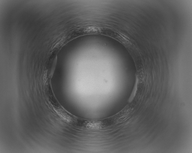 X0000051250560200507011655