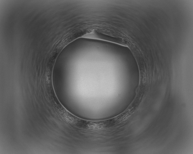 X0000051250561200507011655