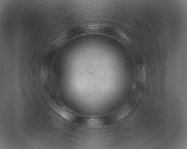 X0000051250562200507011655