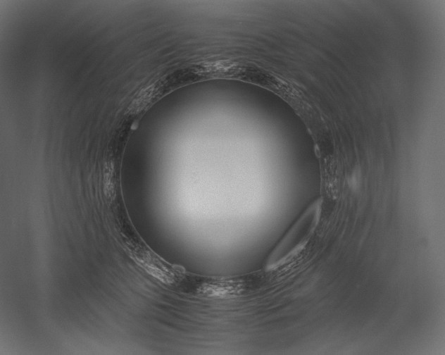 X0000051250563200507011655