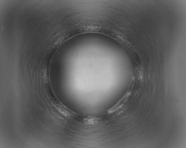 X0000051250564200507011655