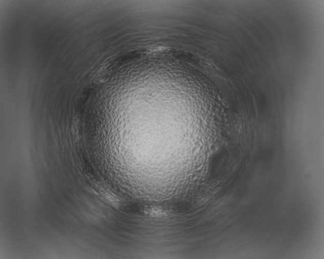 X0000051250565200507011655