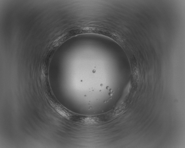 X0000051250566200507011655