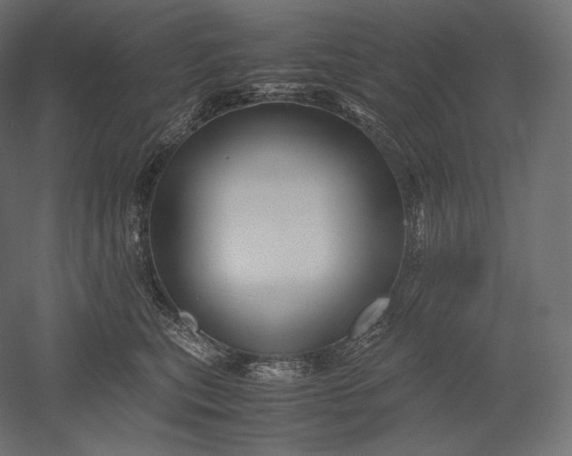 X0000051250567200507011655