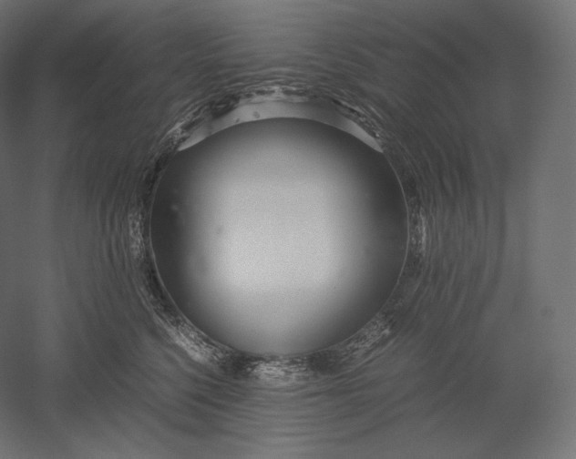 X0000051250568200507011655