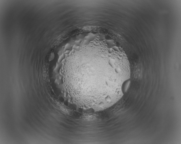 X0000051250569200507011655