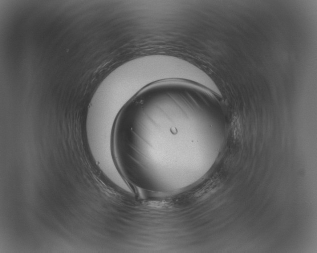 X0000051250570200507011655