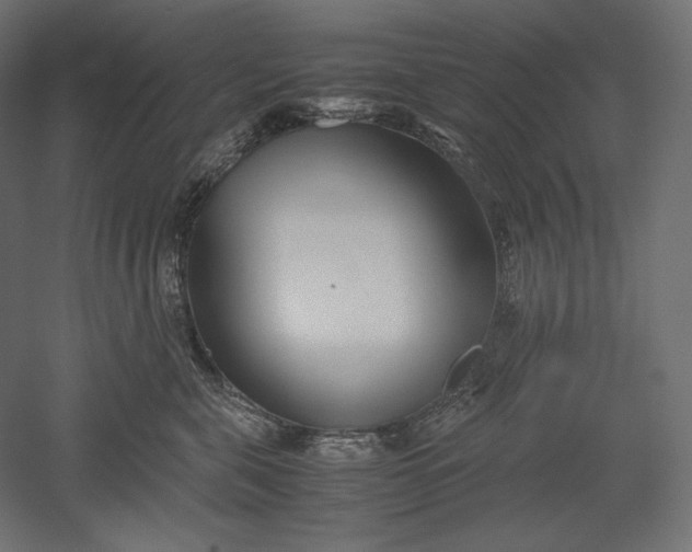 X0000051250571200507011655