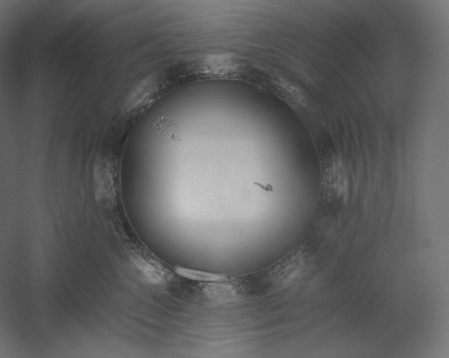 X0000051250572200507011655