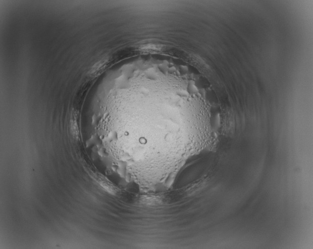 X0000051250573200507011655