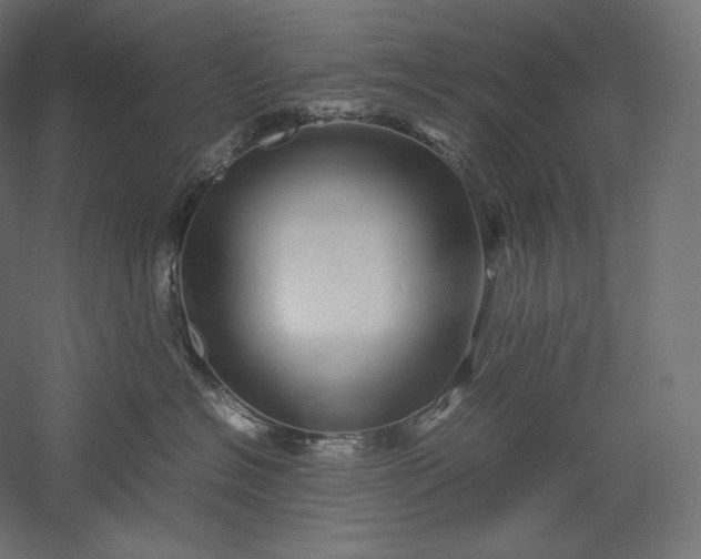 X0000051250574200507011655