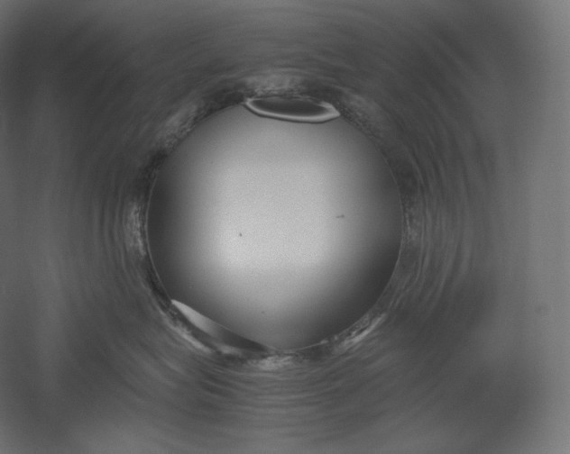 X0000051250575200507011655