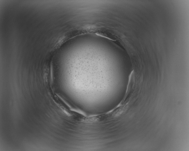 X0000051250576200507011655