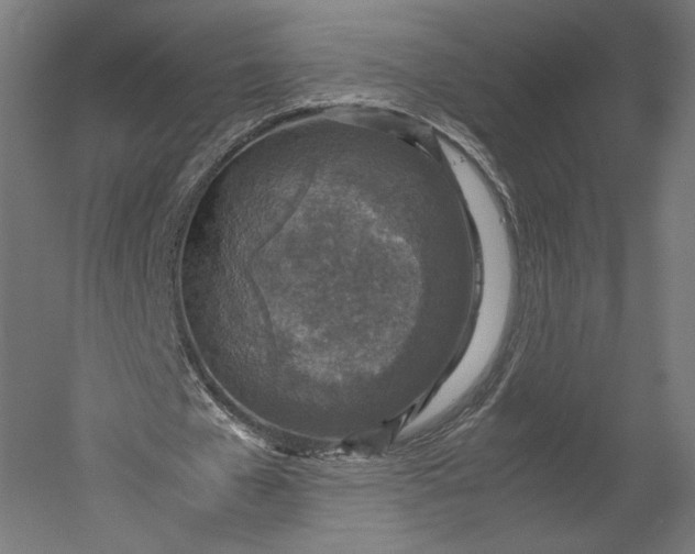 X0000051250577200507011654