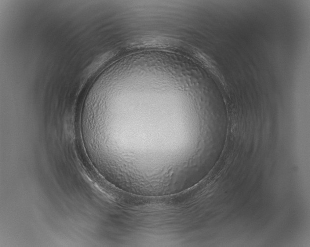 X0000051250578200507011654