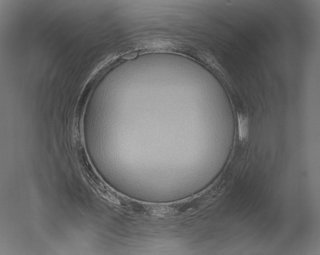 X0000051250579200507011654