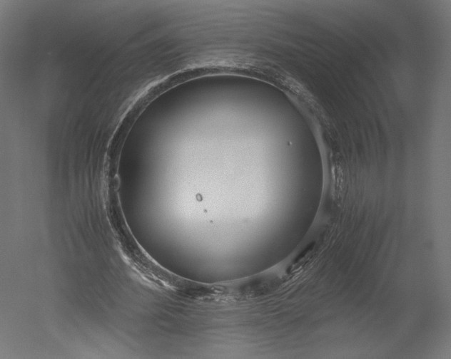 X0000051250580200507011654