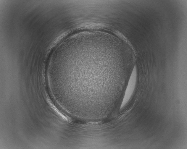 X0000051250581200507011654