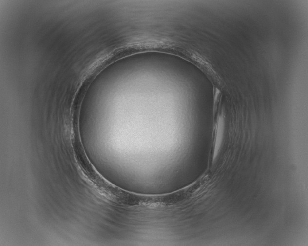 X0000051250582200507011654