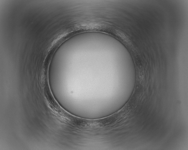 X0000051250583200507011654