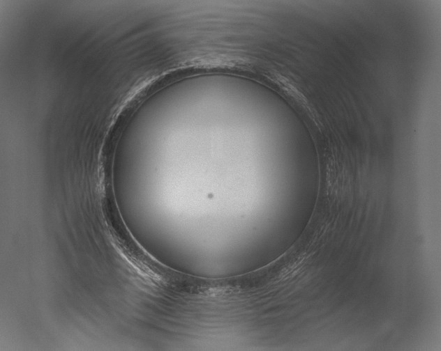 X0000051250584200507011654