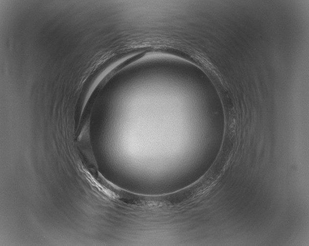 X0000051250585200507011654