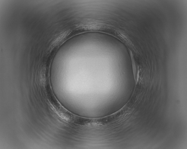 X0000051250586200507011654