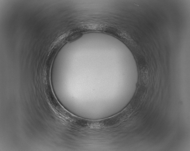 X0000051250587200507011654