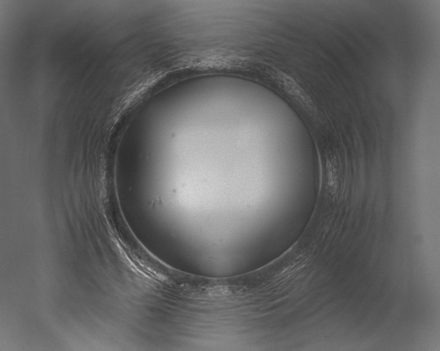 X0000051250588200507011654