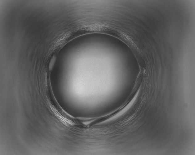 X0000051250589200507011654