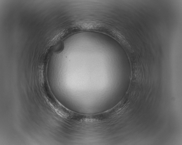 X0000051250590200507011654