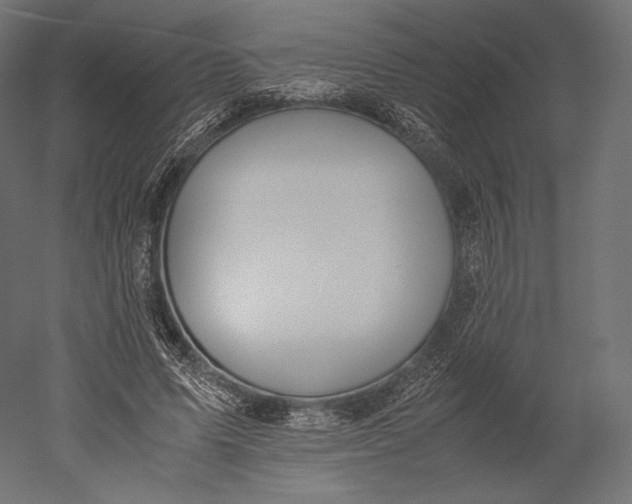 X0000051250591200507011654