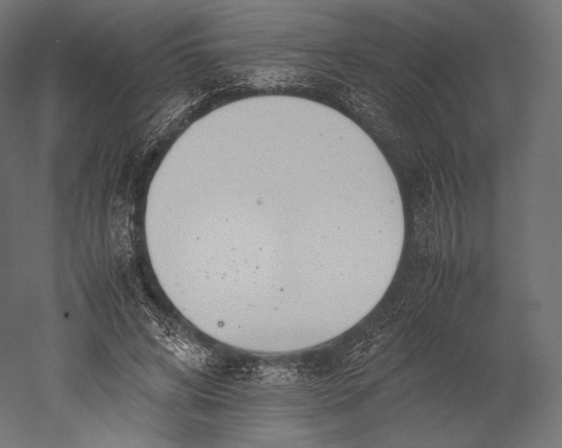 X0000051250592200507011654