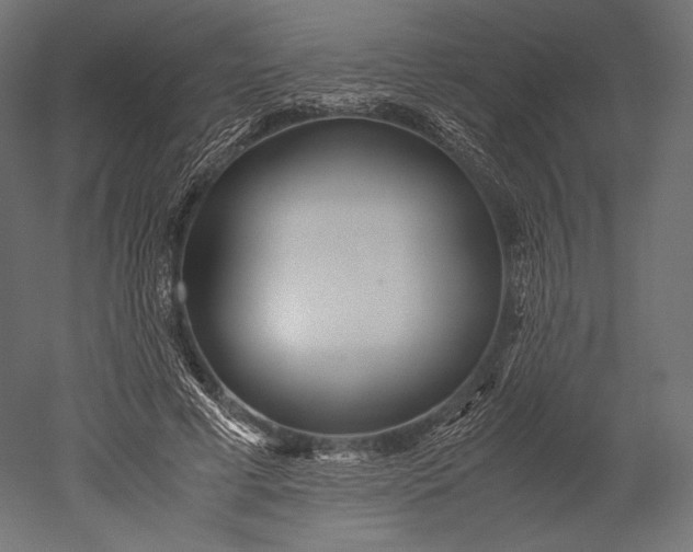 X0000051250593200507011654