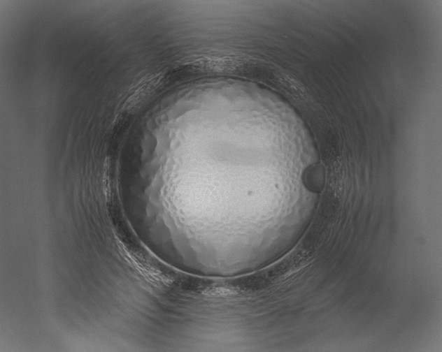 X0000051250594200507011654