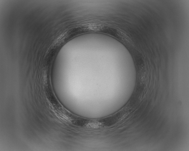 X0000051250595200507011654