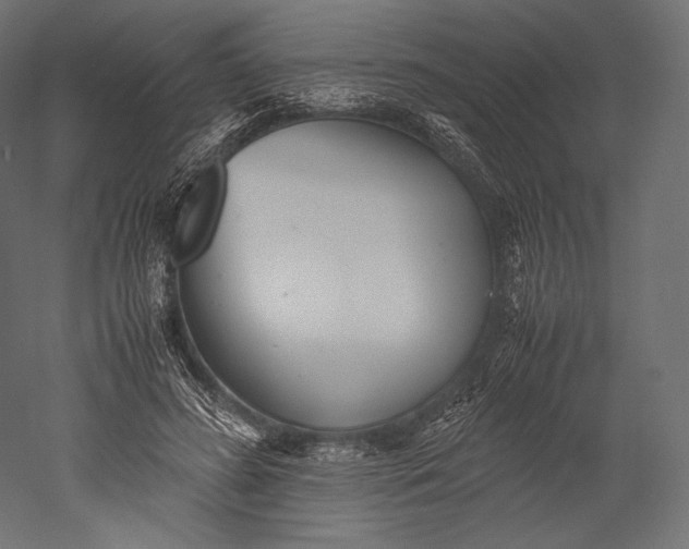 X0000051250596200507011654