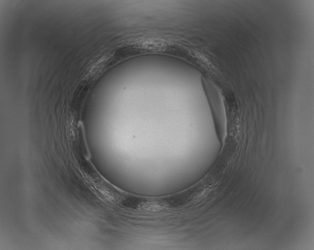 X0000051250597200507011654