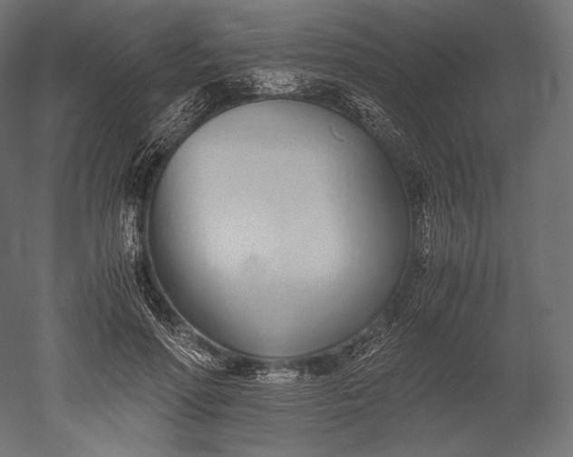 X0000051250598200507011654