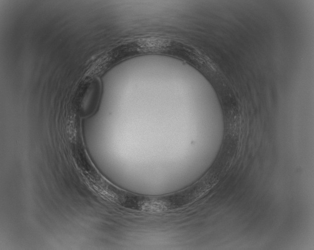 X0000051250599200507011654