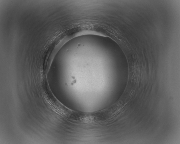 X0000051250600200507011654