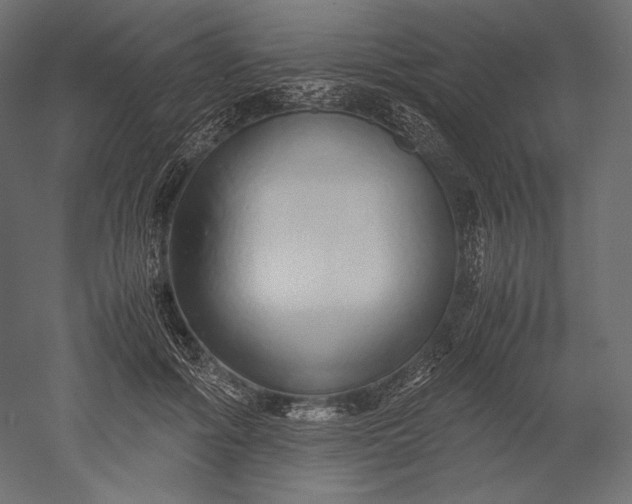 X0000051250602200507011654