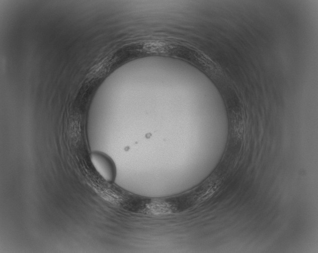 X0000051250603200507011654