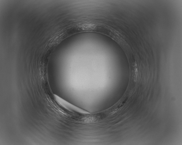 X0000051250604200507011654