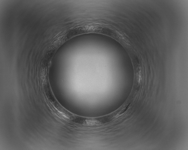 X0000051250605200507011654