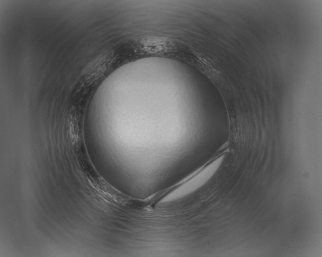 X0000051250606200507011654