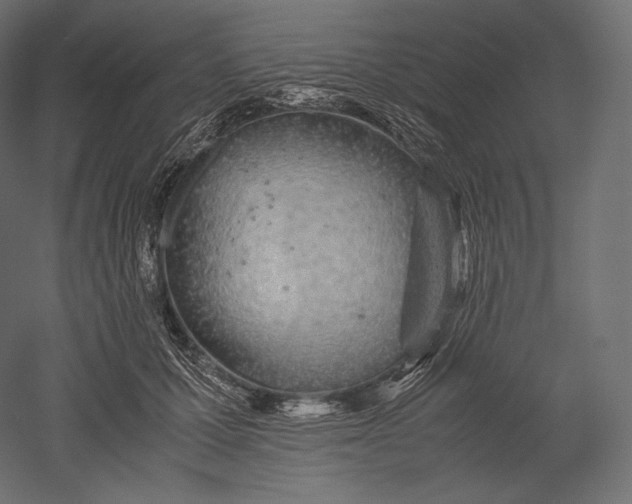 X0000051250607200507011654